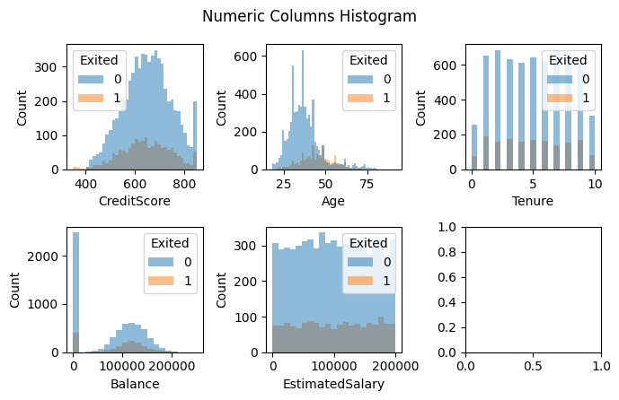 Numeric Columns Histogram